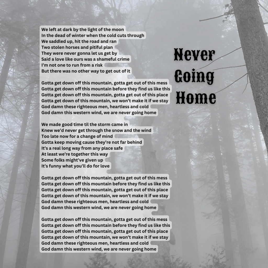 Lyric sheet for “Never Going Home” — track 8 of 11 on Shadows of a Ghost Town