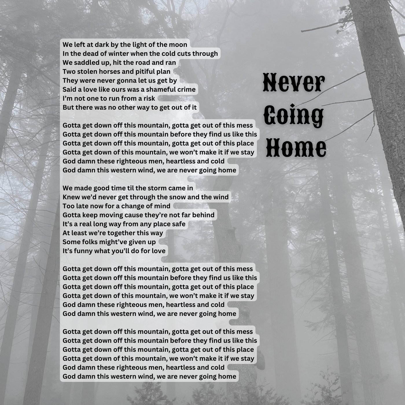 Never Going Home lyrics